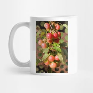 Red Crabapples Mug